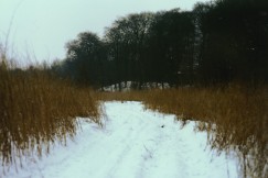Ahrensburg- - Moorwiese im Schnee